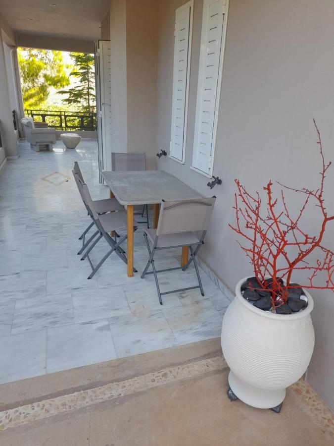 Suite With Garden Agia Marina  エクステリア 写真